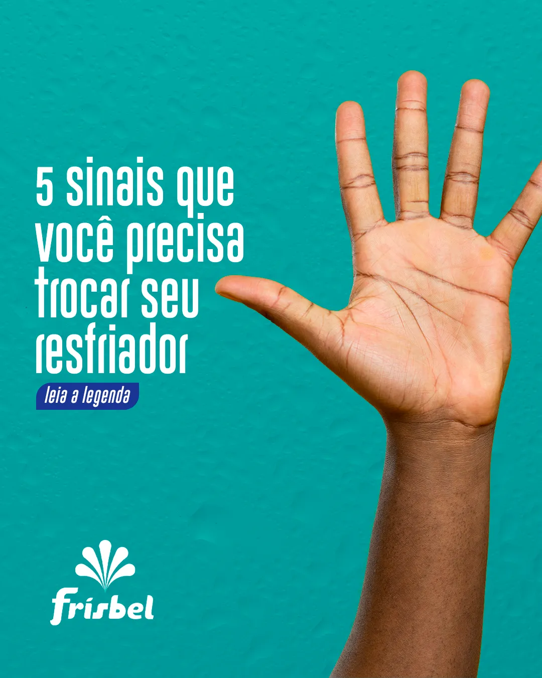 Frisbel Resfriadores - imagem do projeto